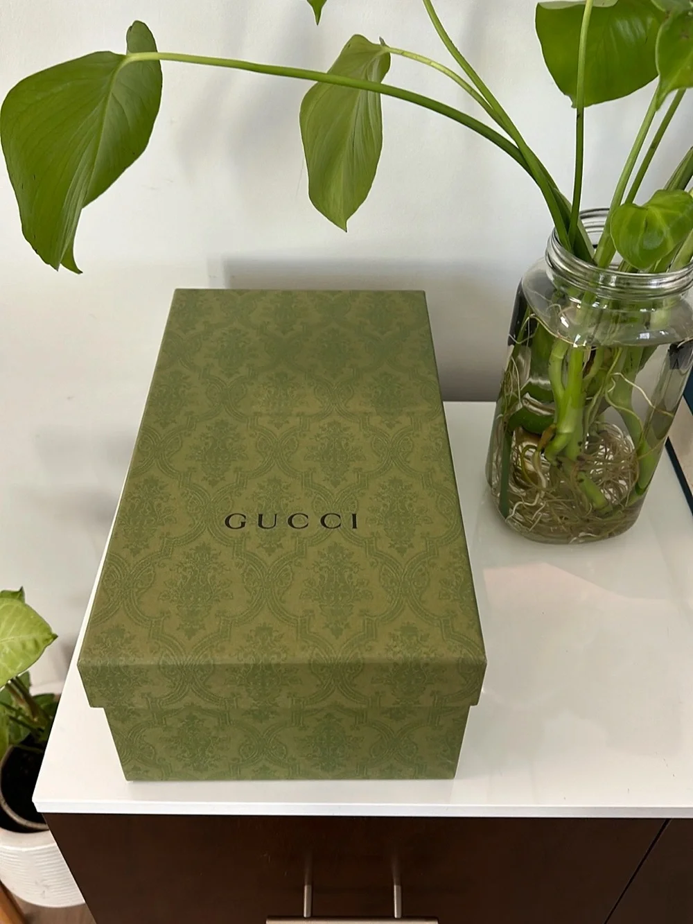 Gucci Olive Green Patterned Designer Box